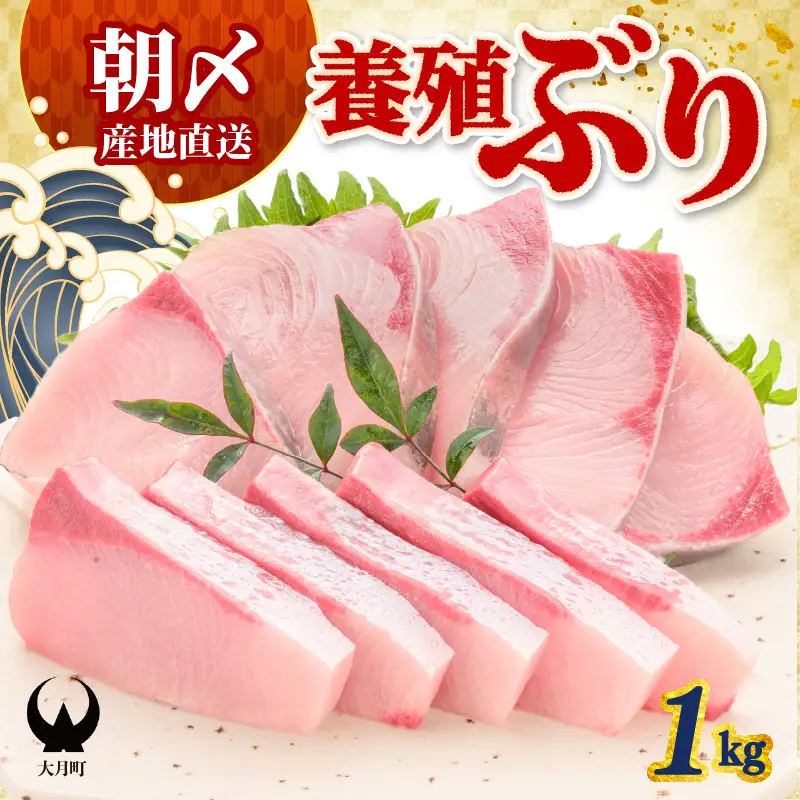 ぶり 1kg 養殖 冷蔵ぶり