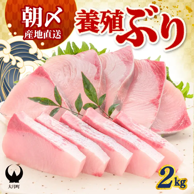 ぶり 2kg 養殖 冷蔵ぶり