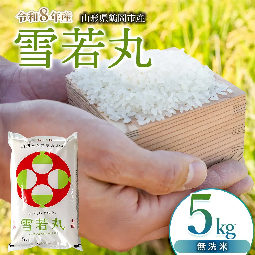 【令和8年産 新米】雪若丸 無洗米5kg（5kg×1袋）K-834 馬町さくらファーム