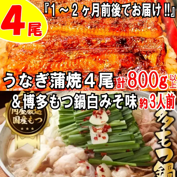 BD017.うなぎの蒲焼４尾＆博多もつ鍋白みそ味（３人前）【スタミナ満点セット】【もつ鍋・味噌味】