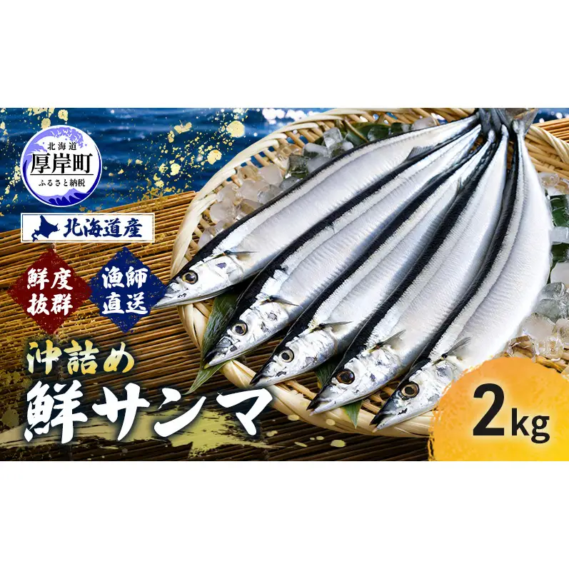 サンマ 鮮度抜群 北海道産 漁師直送 沖詰め 鮮サンマ 2kg 【豊伸協同組合】[ さんま 秋刀魚 鮮魚 焼き魚 刺身 新鮮 北海道産 生さんま 生サンマ ]  