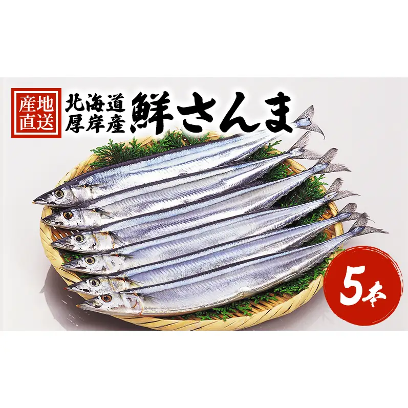 先行予約 産地直送 鮮度抜群 北海道 厚岸産 刺身用 鮮さんま 5本 サンマ 秋刀魚 さんま 鮮魚 魚介類 海産 生さんま