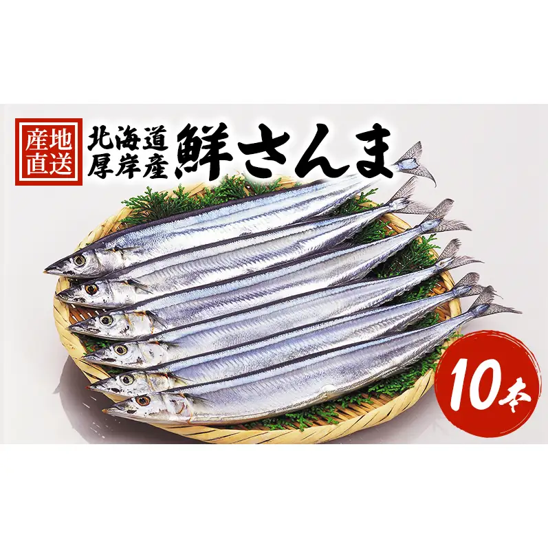先行予約 産地直送 鮮度抜群 北海道 厚岸産 刺身用 鮮さんま 10本 サンマ 秋刀魚 さんま 鮮魚 魚介類 海産 生さんま