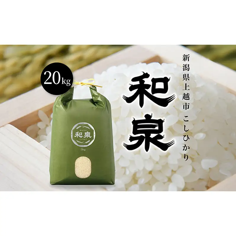 先行予約 新米 令和8年 新潟県 上越産 こしひかり 20kg （5kg×4袋） 和泉 ワイズファーム 上越市 精米 米 ギフト 喜ばれる コシヒカリ