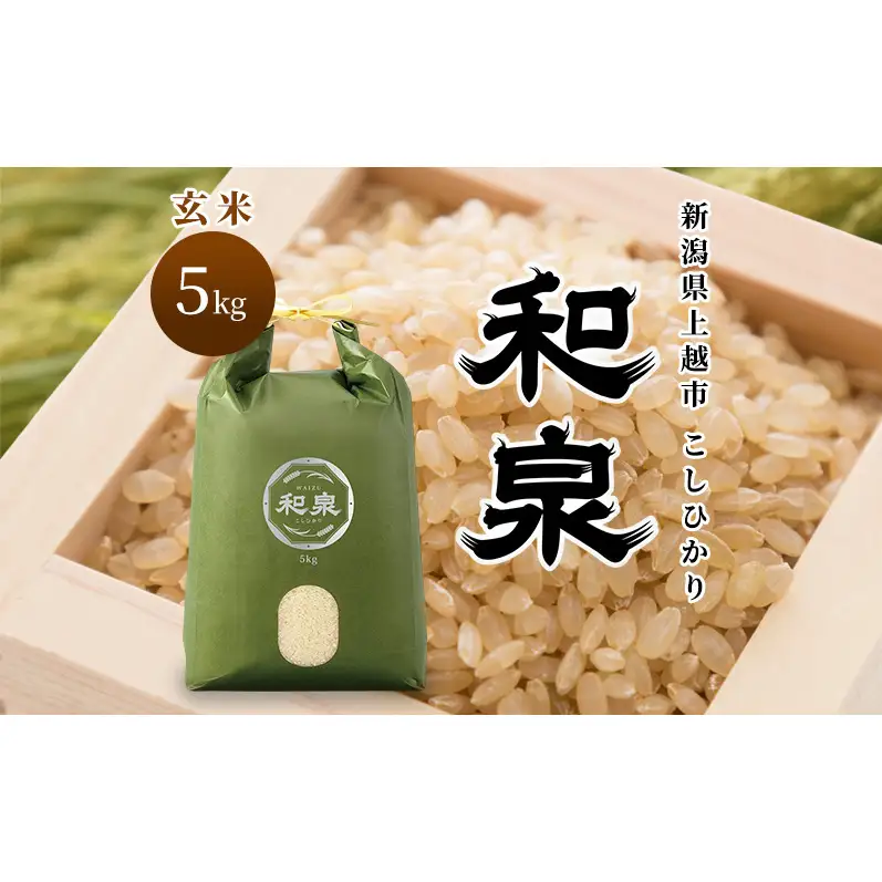 先行予約 玄米 令和8年 新潟県 上越産 こしひかり 5kg 5キロ 和泉 ワイズファーム 上越市  米 ギフト 喜ばれる コシヒカリ
