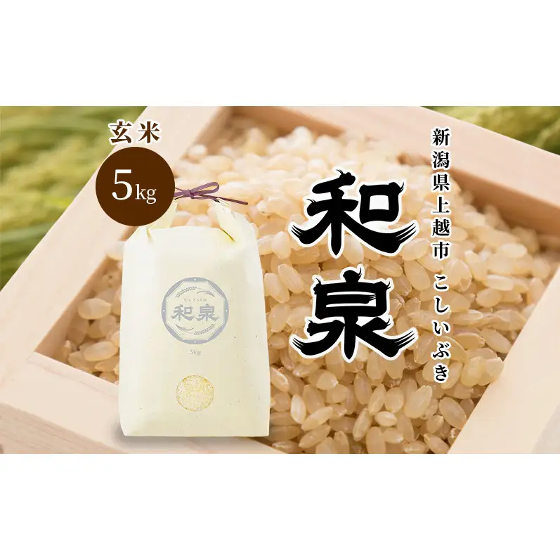 先行予約 玄米 令和8年 新潟県 上越産 こしいぶき 5kg 5キロ 和泉 ワイズファーム 上越市  米 ギフト 喜ばれる