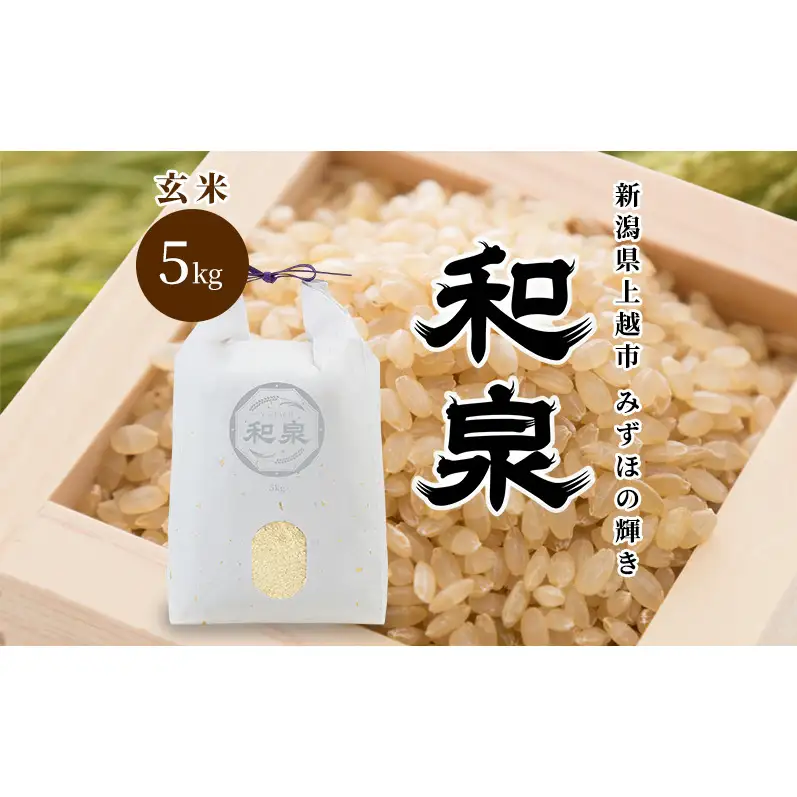 先行予約 玄米 令和8年 新潟県 上越産 みずほの輝き 5kg 5キロ 和泉 ワイズファーム 上越市  米 ギフト 喜ばれる