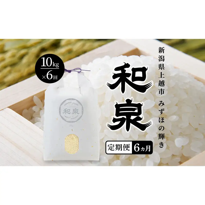 先行予約 新米 定期便6ヶ月配送 令和8年 新潟県 上越産 みずほの輝き 10kg （5kg×2袋）×6回 和泉 ワイズファーム 上越市 精米 米 ギフト 喜ばれる