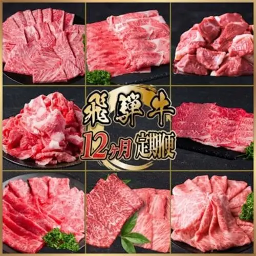 【毎月定期便】飛騨牛　厳選　定期便　計5.1kg　すき焼き・しゃぶしゃぶ・焼肉・BBQ用 全12回【配送不可地域：離島】【4090777】