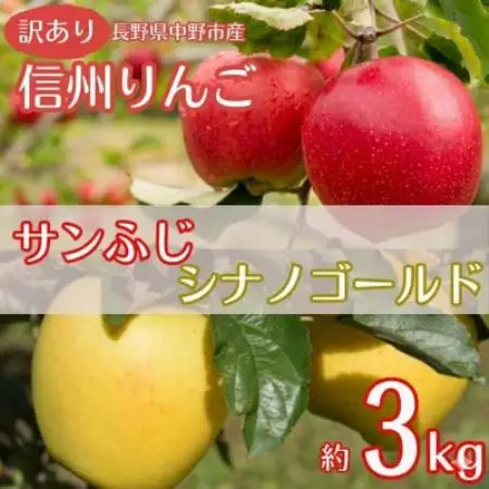 【訳あり】産地直送　信州りんご(サンふじ+シナノゴールド)3kg (ご家庭用)【1763205】