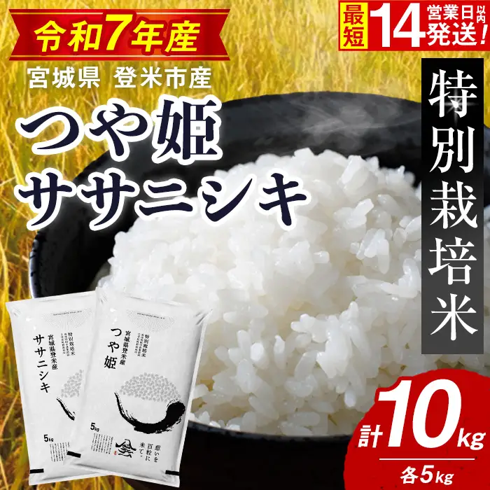 【14営業日以内に発送予定】≪令和7年産≫ 特別栽培米 ササニシキ・つや姫 計10kg(各5kg) 登米市産 お米 おこめ 米 コメ 白米 ご飯 ごはん おにぎり お弁当 【登米ライスサービス株式会社】tm828