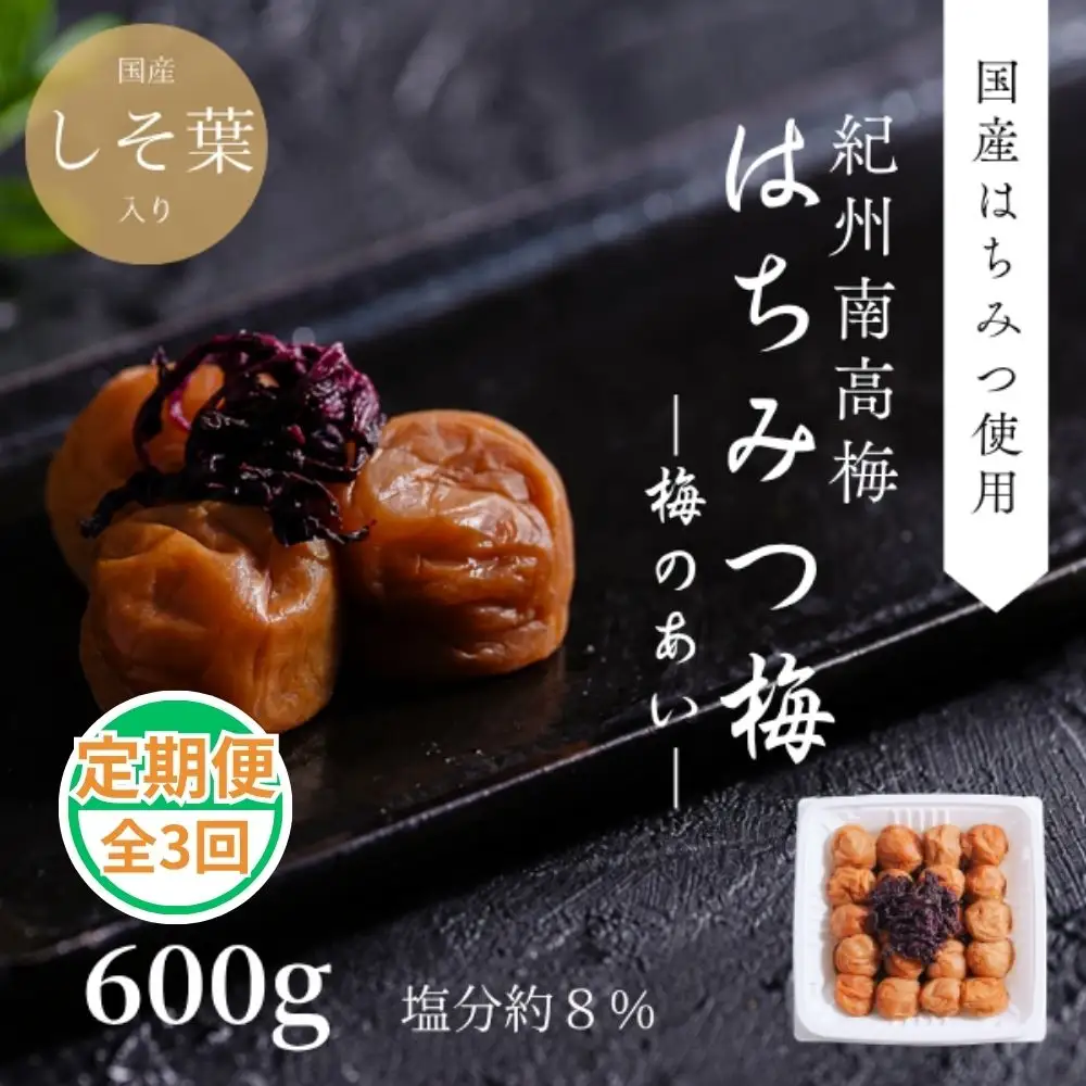 紀州南高梅 梅のあい はちみつ 600g 定期便 全3回 【ngao-tkb004】