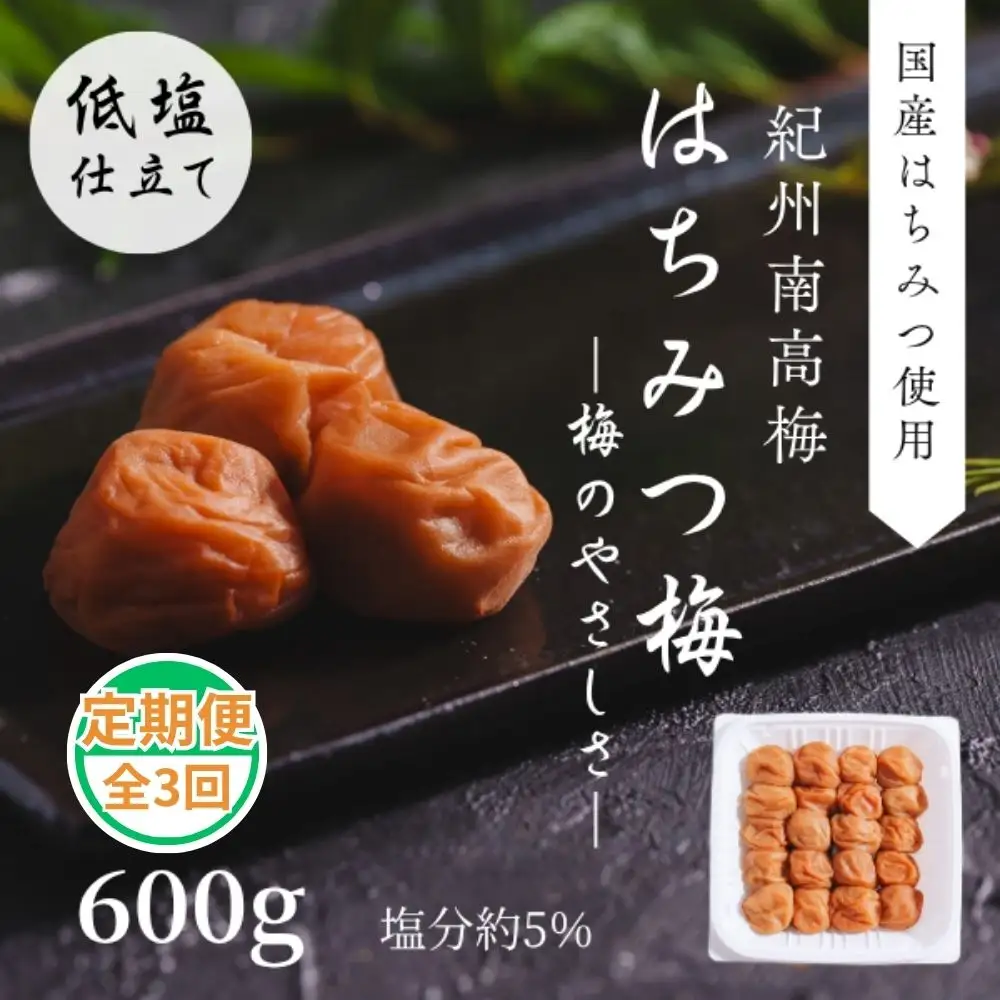 紀州南高梅使用 梅のやさしさ はちみつ梅 600g 塩分約5％ 定期便 全3回 【ngao-tkb005】