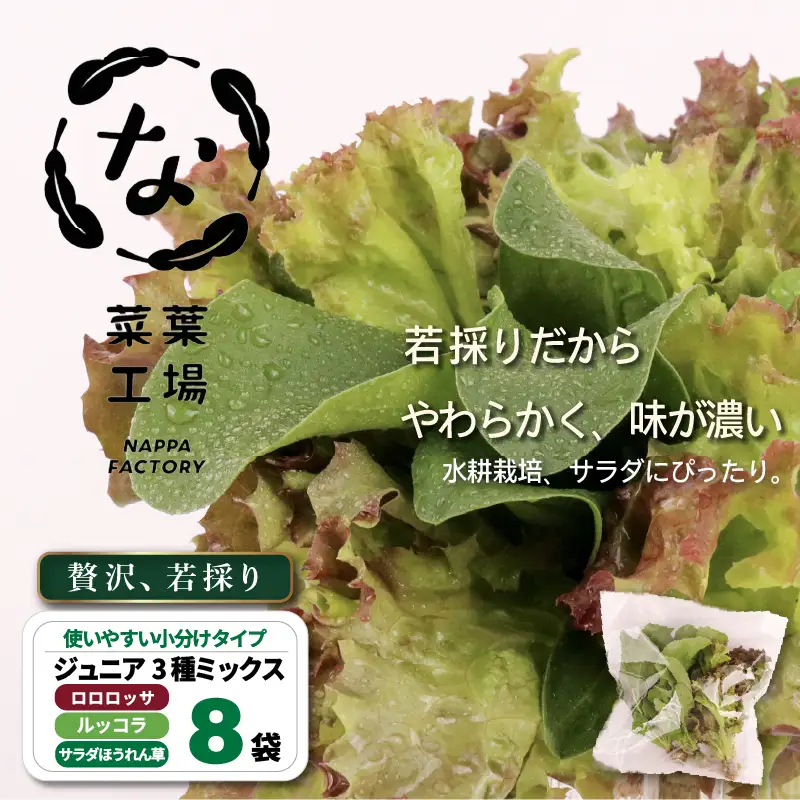 3種ミックス 若採り ルッコラ ほうれん草 みずな ジュニア | サラダ 水菜 水耕 葉物 野菜 南国市