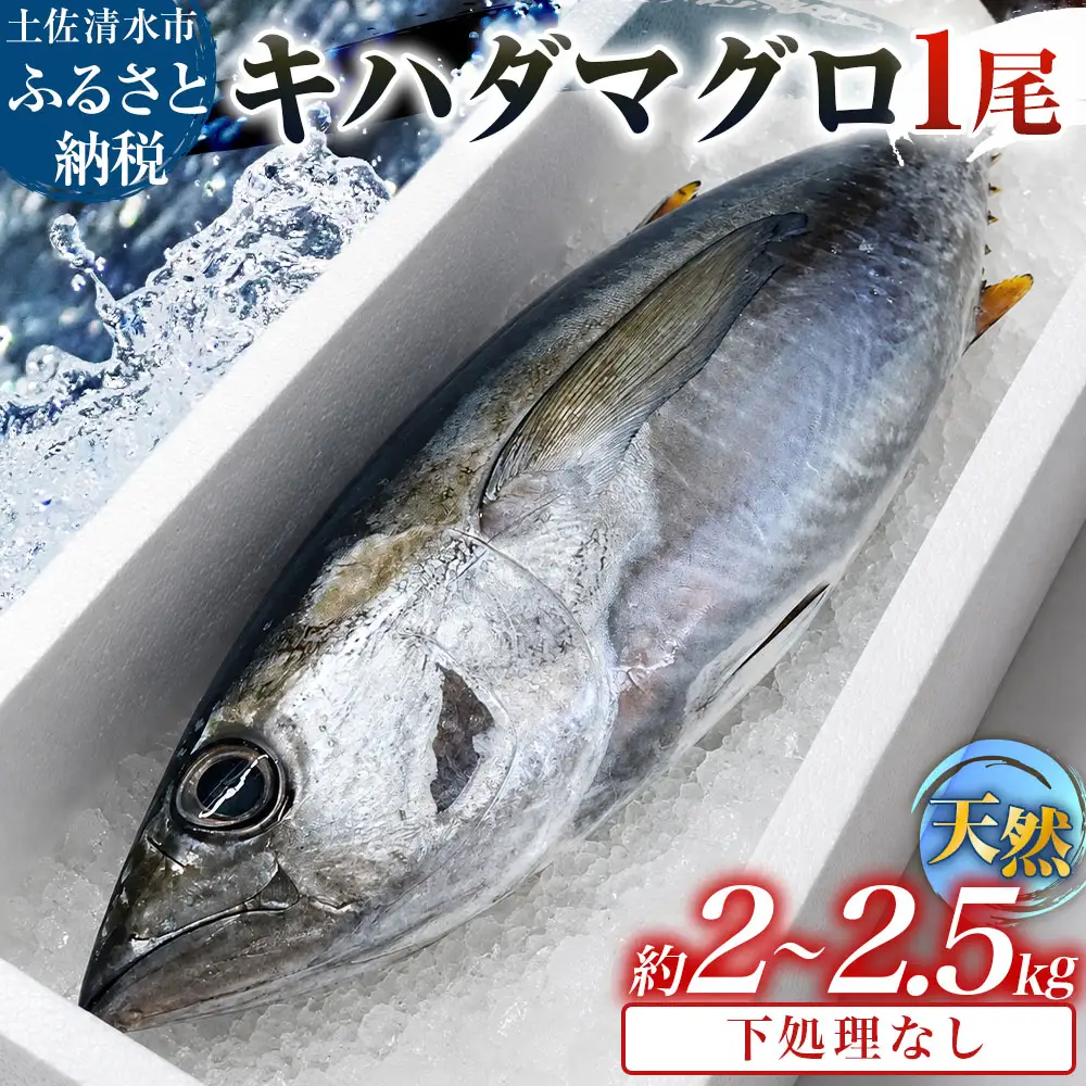 土佐清水沖 キハダマグロ 1尾（約2〜2.5kg）下処理なし【R01757】