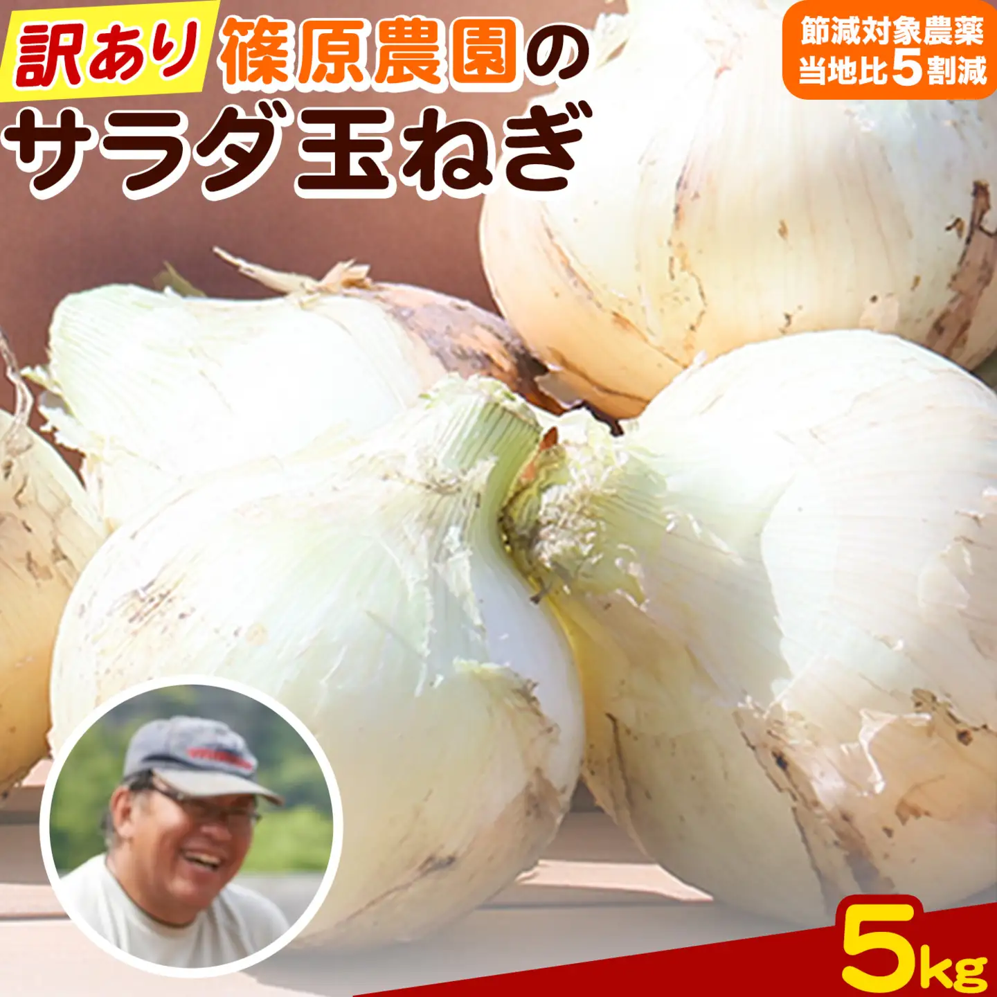 玉ねぎ 訳あり 節減対象農薬 当地比5割減 サラダ玉ねぎ (S-2Lサイズ) 5kg《3月下旬-4月下旬頃出荷予定》熊本県 葦北郡 津奈木町 篠原農園 野菜 たまねぎ 自然栽培