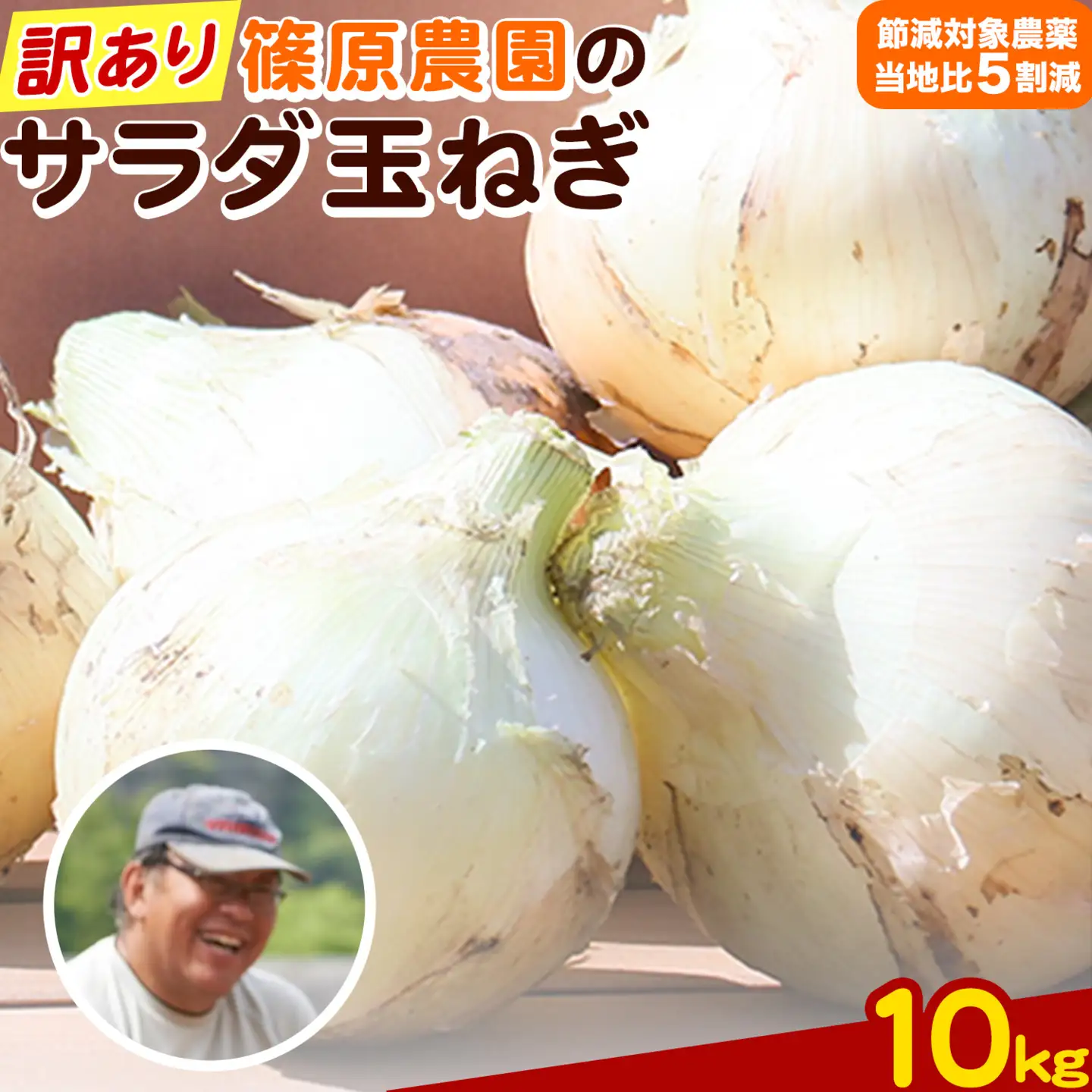玉ねぎ 訳あり 節減対象農薬 当地比5割減 サラダ玉ねぎ (S-2Lサイズ) 10kg《3月下旬-4月下旬頃出荷予定》熊本県 葦北郡 津奈木町 篠原農園 野菜 たまねぎ 自然栽培
