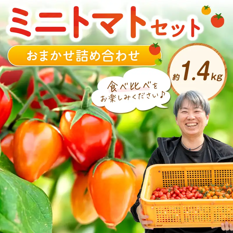 ミニトマトセット（おまかせ詰め合わせ）約1.4kg《先行予約》【1228-1】