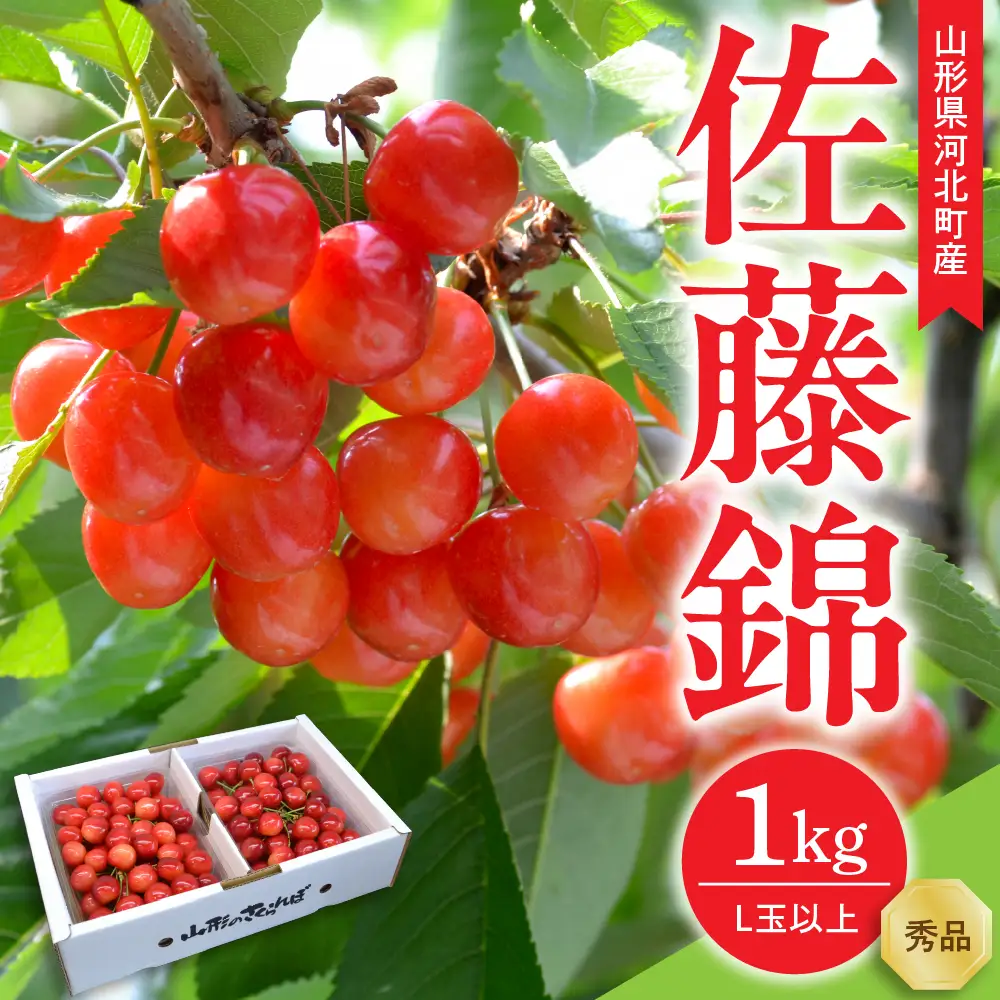 令和9年産 さくらんぼ 佐藤錦 秀品 1kg さくらんぼ