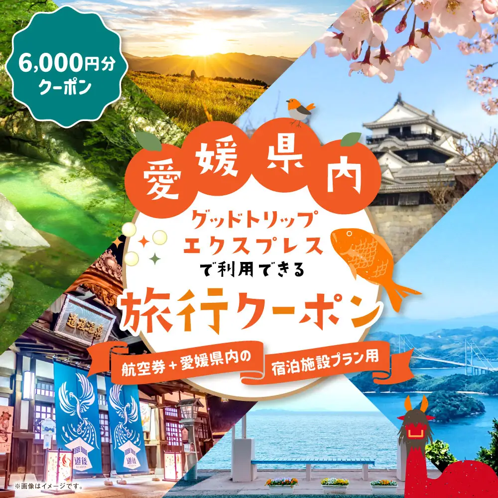 愛媛県内に泊まるふるさと納税旅行クーポン 6,000円分 旅行クーポン 旅行券 クーポン 券 旅行 観光 国内旅行 家族旅行 ひとり旅 愛媛県旅行 宿泊 カップル 夫婦 親子 家族 ファミリー （ 1130 ）