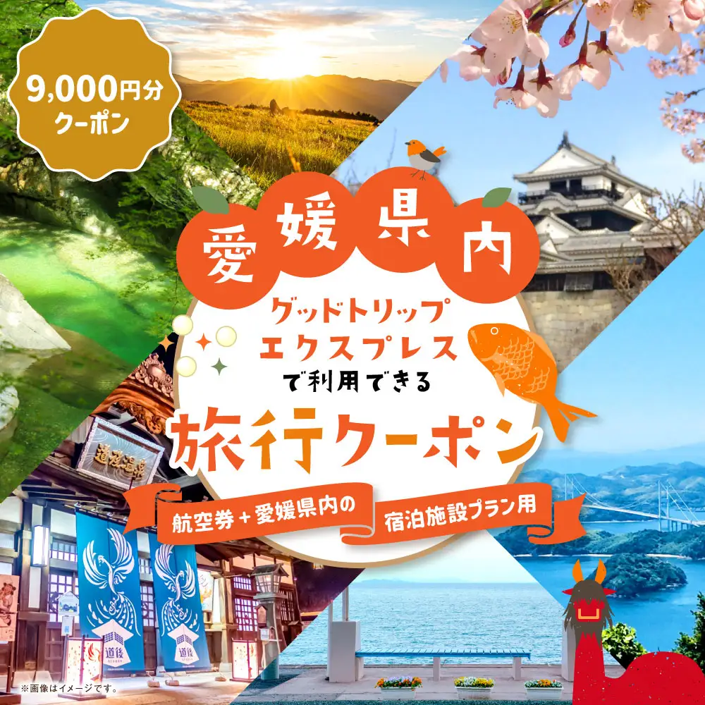 愛媛県内に泊まるふるさと納税旅行クーポン 9,000円分 旅行クーポン 旅行券 クーポン 券 旅行 観光 国内旅行 家族旅行 ひとり旅 愛媛県旅行 宿泊 カップル 夫婦 親子 家族 ファミリー （ 1131 ）