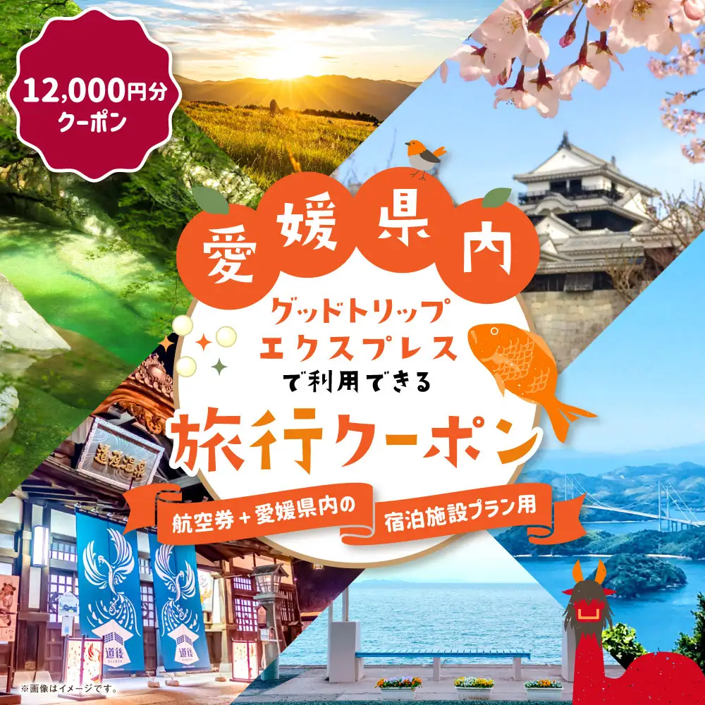 愛媛県内に泊まるふるさと納税旅行クーポン 12,000円分 旅行クーポン 旅行券 クーポン 券 旅行 観光 国内旅行 家族旅行 ひとり旅 愛媛県旅行 宿泊 カップル 夫婦 親子 家族 ファミリー （ 1132 ）