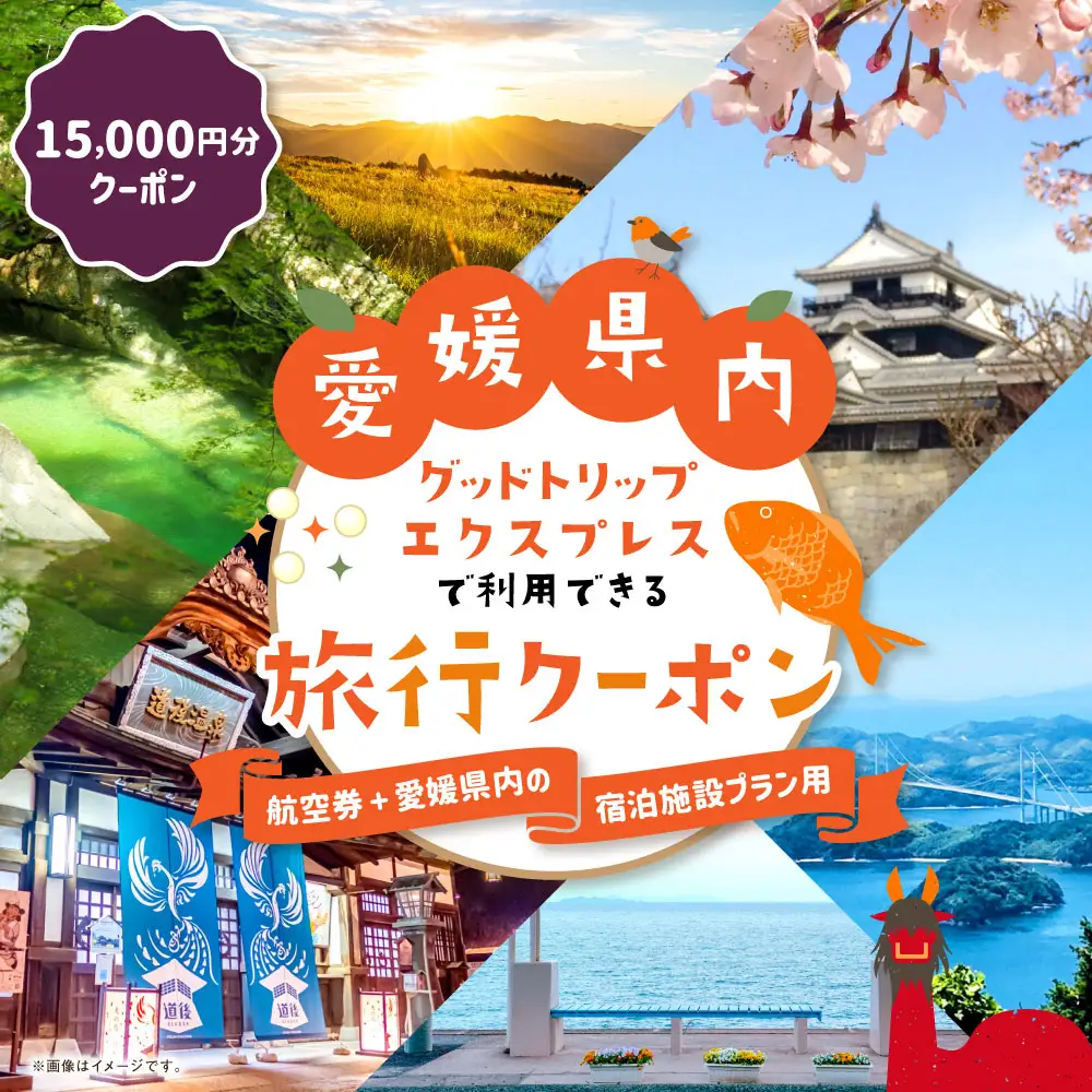 愛媛県内に泊まるふるさと納税旅行クーポン 15,000円分 旅行クーポン 旅行券 クーポン 券 旅行 観光 国内旅行 家族旅行 ひとり旅 愛媛県旅行 宿泊 カップル 夫婦 親子 家族 ファミリー （ 1133 ）