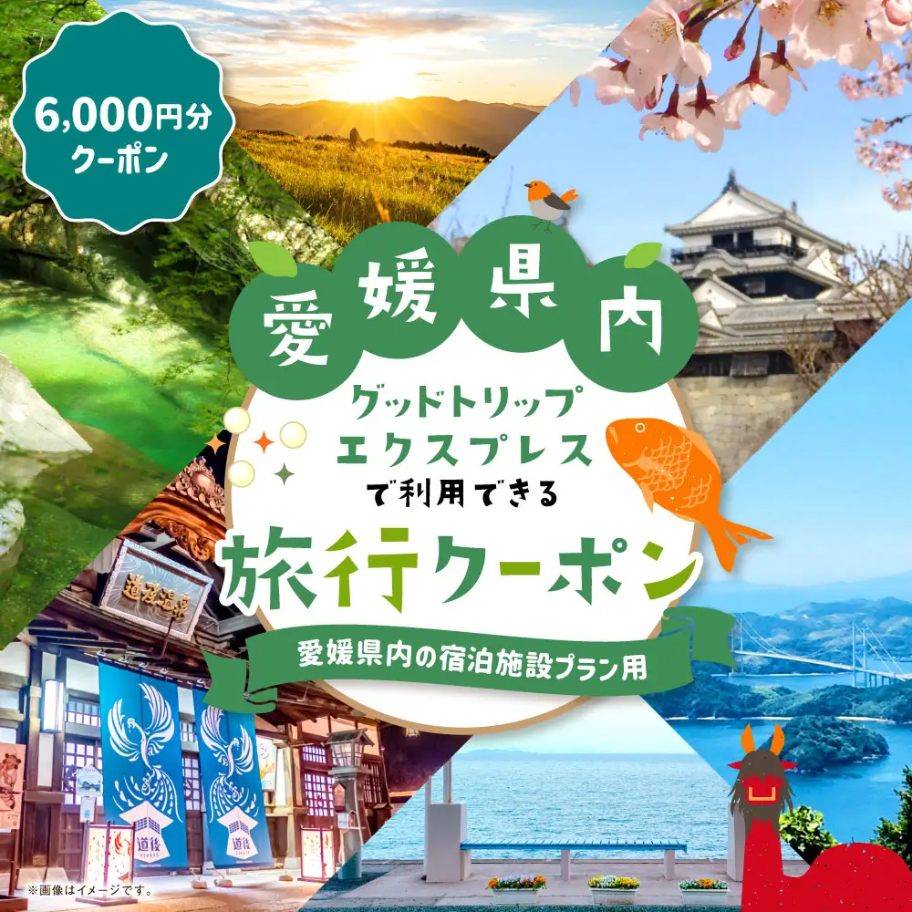 愛媛県内の宿泊施設に泊まるふるさと納税旅行クーポン 6,000円分 旅行クーポン 旅行券 クーポン 券 旅行 観光 国内旅行 家族旅行 ひとり旅 愛媛県旅行 宿泊 カップル 夫婦 親子 家族 ファミリー （ 1135 ）