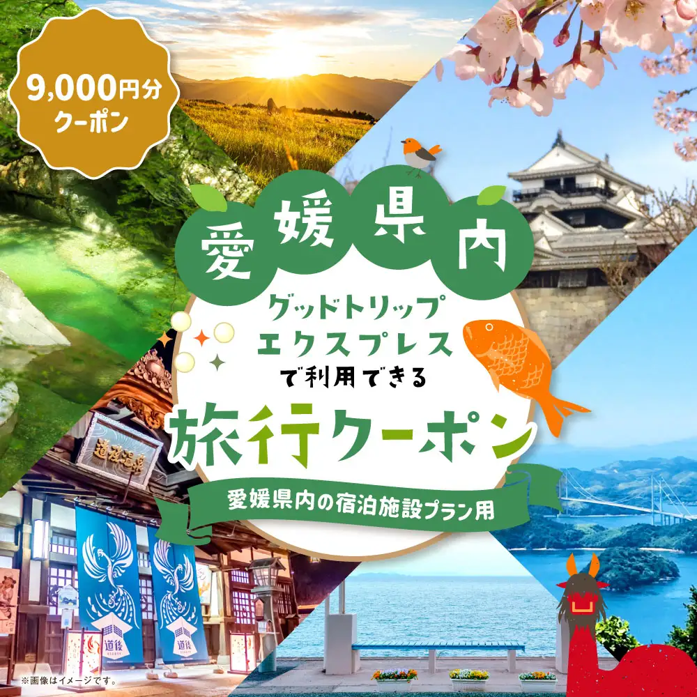 愛媛県内の宿泊施設に泊まるふるさと納税旅行クーポン 9,000円分 旅行クーポン 旅行券 クーポン 券 旅行 観光 国内旅行 家族旅行 ひとり旅 愛媛県旅行 宿泊 カップル 夫婦 親子 家族 ファミリー （ 1136 ）