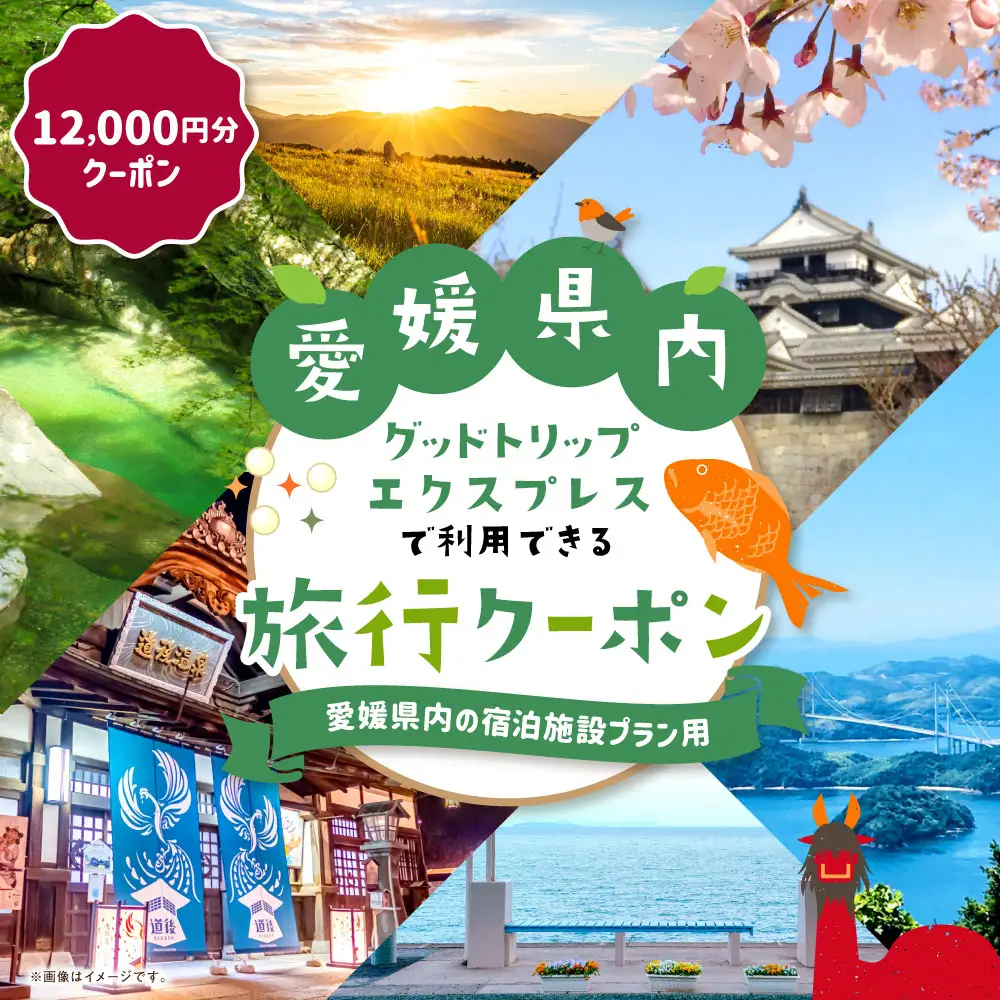 愛媛県内の宿泊施設に泊まるふるさと納税旅行クーポン 12,000円分 旅行クーポン 旅行券 クーポン 券 旅行 観光 国内旅行 家族旅行 ひとり旅 愛媛県旅行 宿泊 カップル 夫婦 親子 家族 ファミリー （ 1137 ）