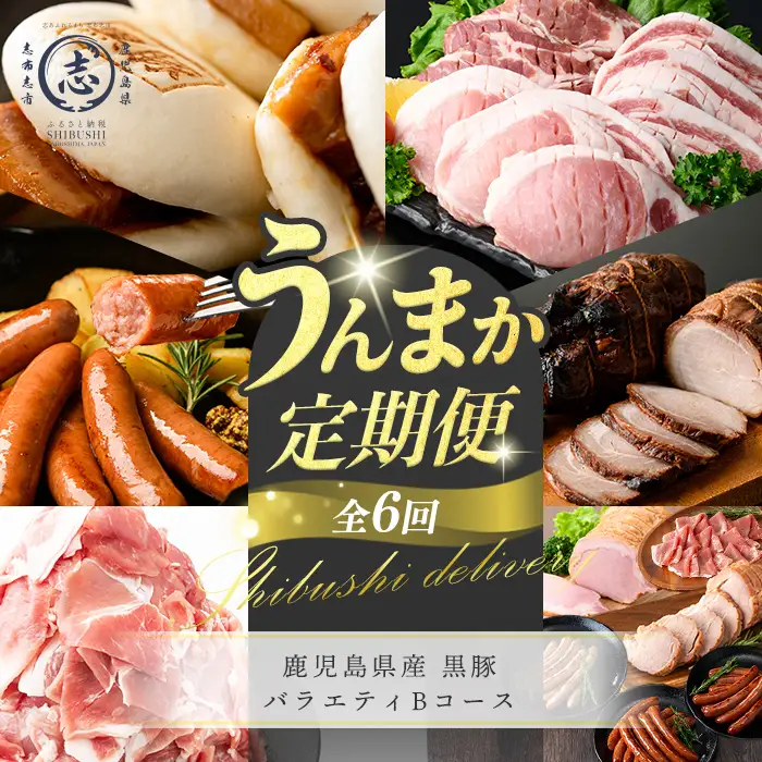 【定期便全6回】鹿児島県産 黒豚バラエティBコース！志布志うんまか定期便 豚肉 黒豚 切り落とし ウィンナー ソーセージ トンカツ トンテキ 肉まん 中華まん ハム 焼豚 国産 セット t0105-006