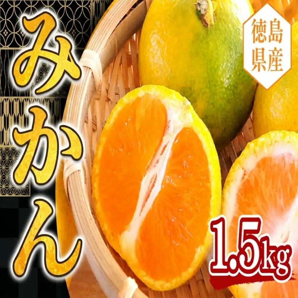 ミカン 1.5kg みかん 【 柑橘 】