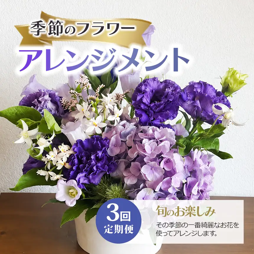 ３回定期便 季節のフラワーアレンジメント 