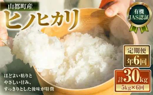 【 年6回定期便 】 山都町産 有機JAS認証 ＜ ヒノヒカリ ＞ 5kg × 6回 計30kg お米 米 こめ コメ 白米 白飯 飯 ご飯 おにぎり ブランド米 精米 国産 熊本県産 定期 定期便