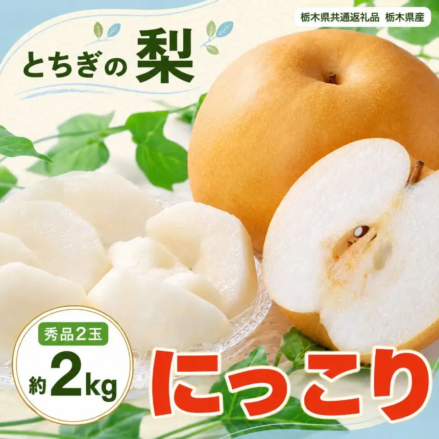梨 にっこり 大玉 2玉 秀品 2kg 【栃木県共通返礼品】栃木県産