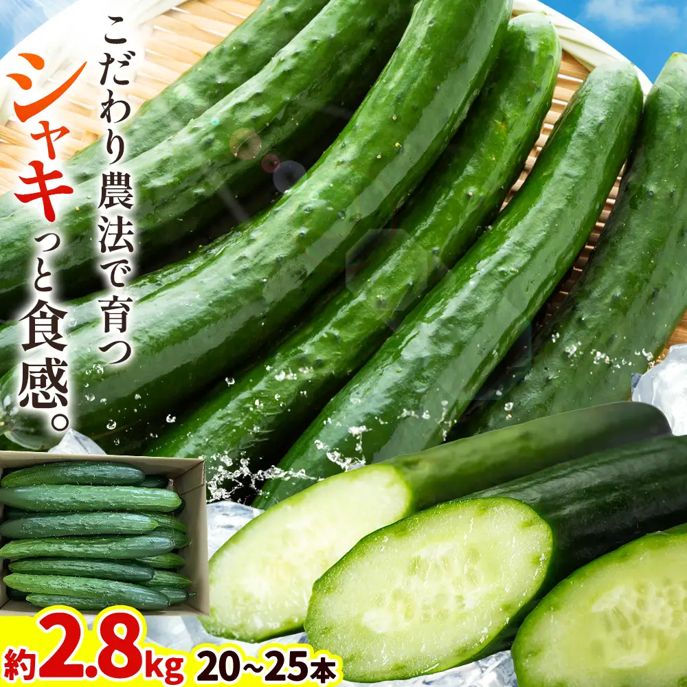 きゅうり 約2.8kg 秋山農園