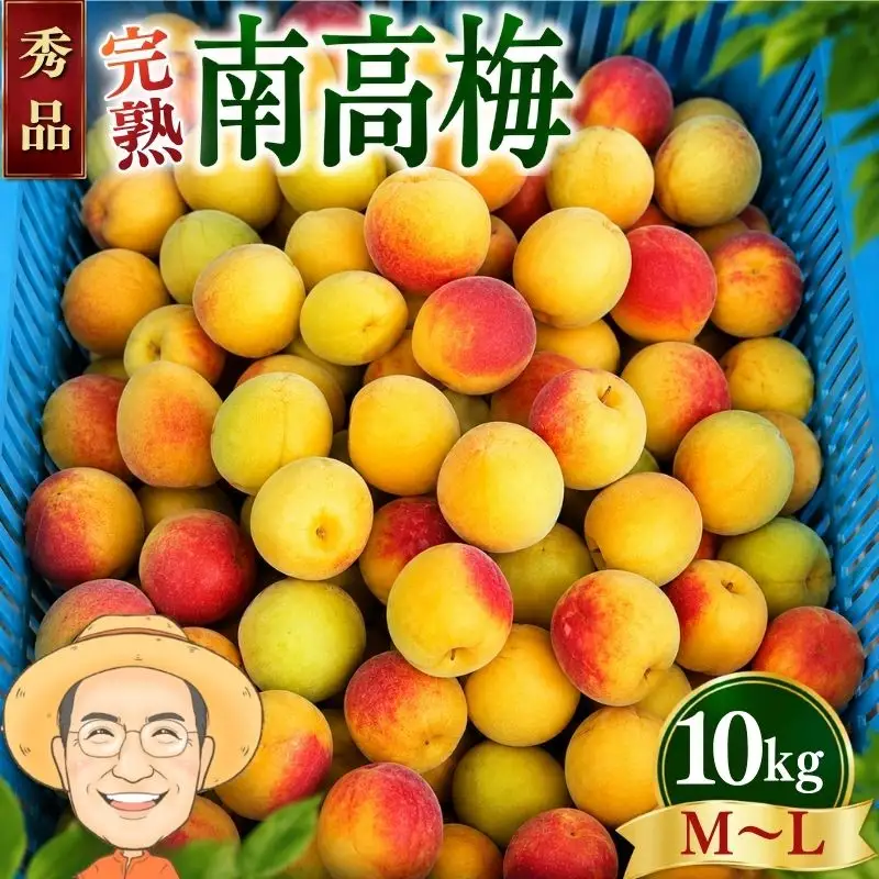 秀品】完熟 南高梅 約10kg (＋保証100g) M～L カキエモン農園【BX