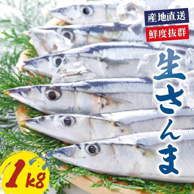 さんま 約1kg 秋刀魚 冷蔵