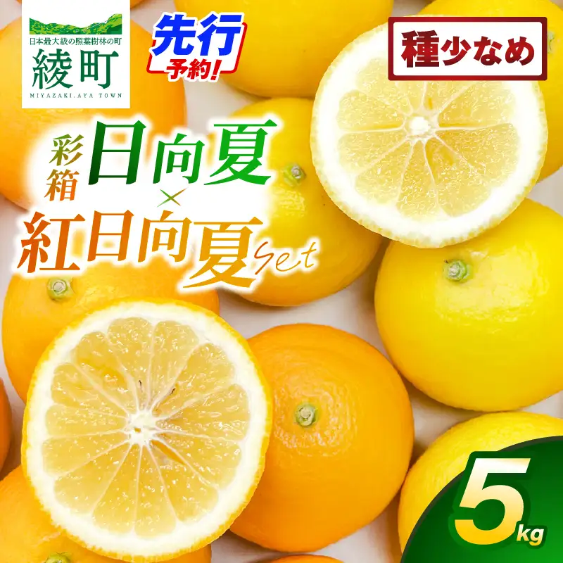 【先行予約】紅日向夏と日向夏の彩り箱 5kg 果物 フルーツ くだもの 柑橘 種少なめ フルーツサンド おやつ スイーツ デザート ジャム おすすめ ギフト 贈り物 贈答 プレゼント おすそ分け お返し 宮崎県 綾町 送料無料【JA綾町】_A0114-2461