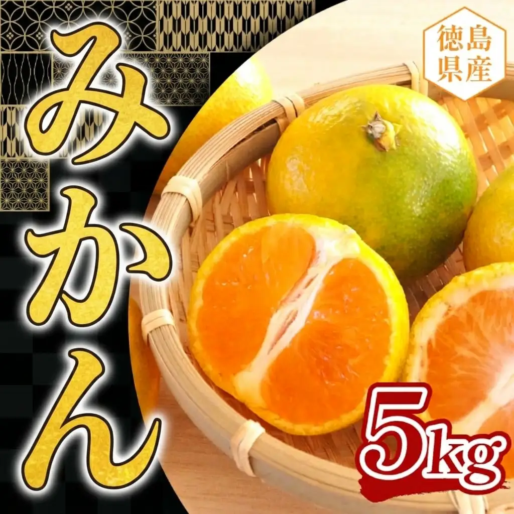 ミカン 5kg みかん 【 柑橘 】