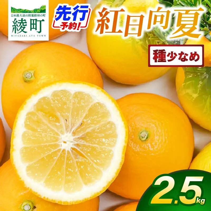【先行予約】紅日向夏 2.5kg（小核）果物 フルーツ くだもの 柑橘 種少なめ フルーツサンド おやつ スイーツ デザート ジャム おすすめ ギフト 贈り物 贈答 プレゼント おすそ分け お返し 宮崎県 綾町 送料無料【JA綾町】_A0114-2441