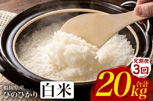【3回定期便】【ふるさと納税】ひのひかり 米 お米 白米 20kg 20キロ 福岡県産 うきは市 国産 精米 ご飯 ごはん おにぎり お弁当 人気 おすすめ 家庭用 送料無料 新米 ストック 厳選 農家直送 大容量【JA福岡くるめ にじの耳納の里】】