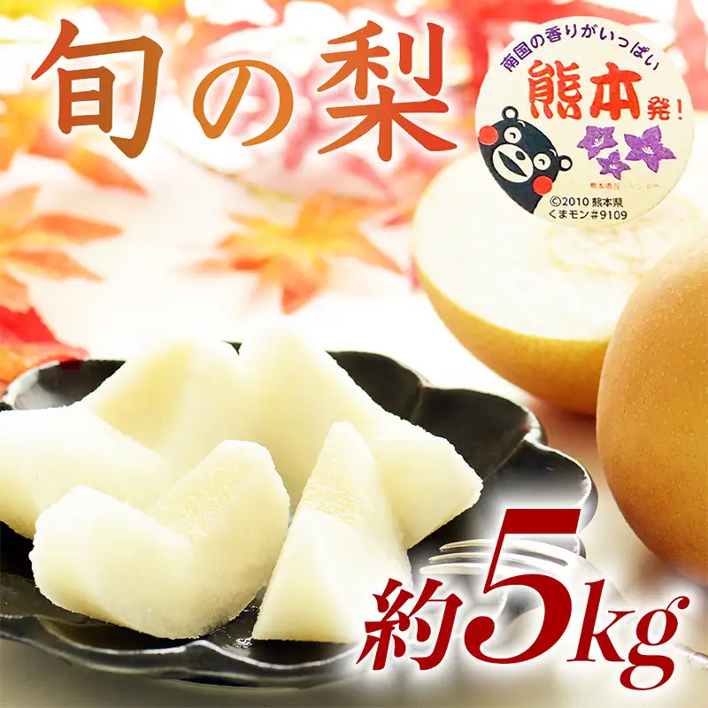 球磨村 旬の梨おまかせ 5kg ナシ 梨 果物 くだもの フルーツ FKP9-727