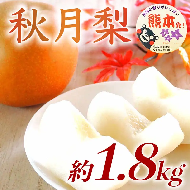 秋月梨 1.8kg ナシ 梨 果物 くだもの フルーツ FKP9-729