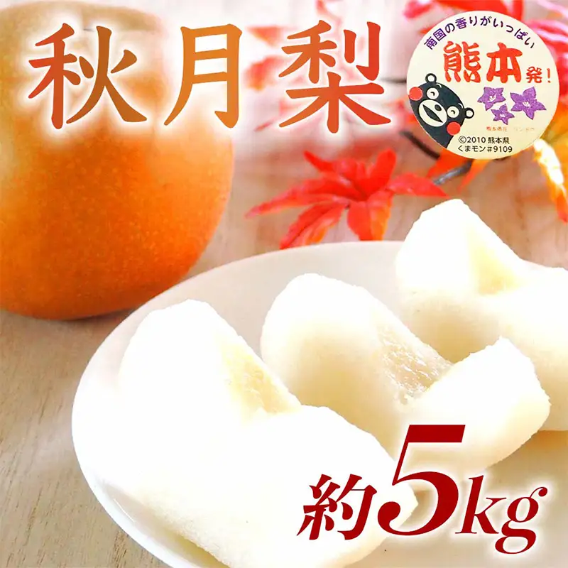 秋月梨 5kg ナシ 梨 果物 くだもの フルーツ FKP9-731