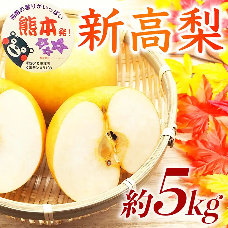 新高梨 5kg ナシ 梨 果物 くだもの フルーツ FKP9-735