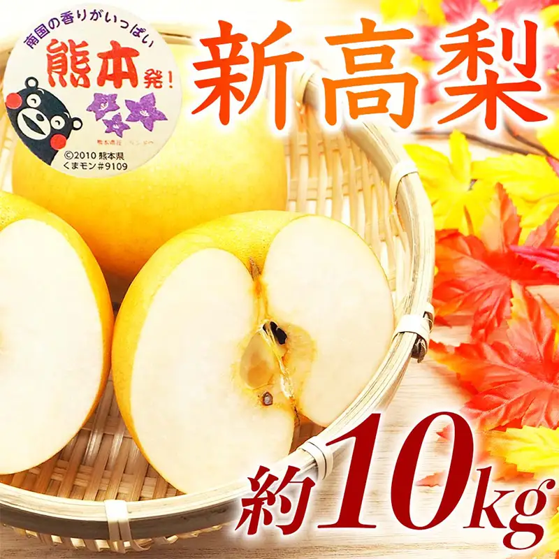新高梨 10kg ナシ 梨 果物 くだもの フルーツ FKP9-736