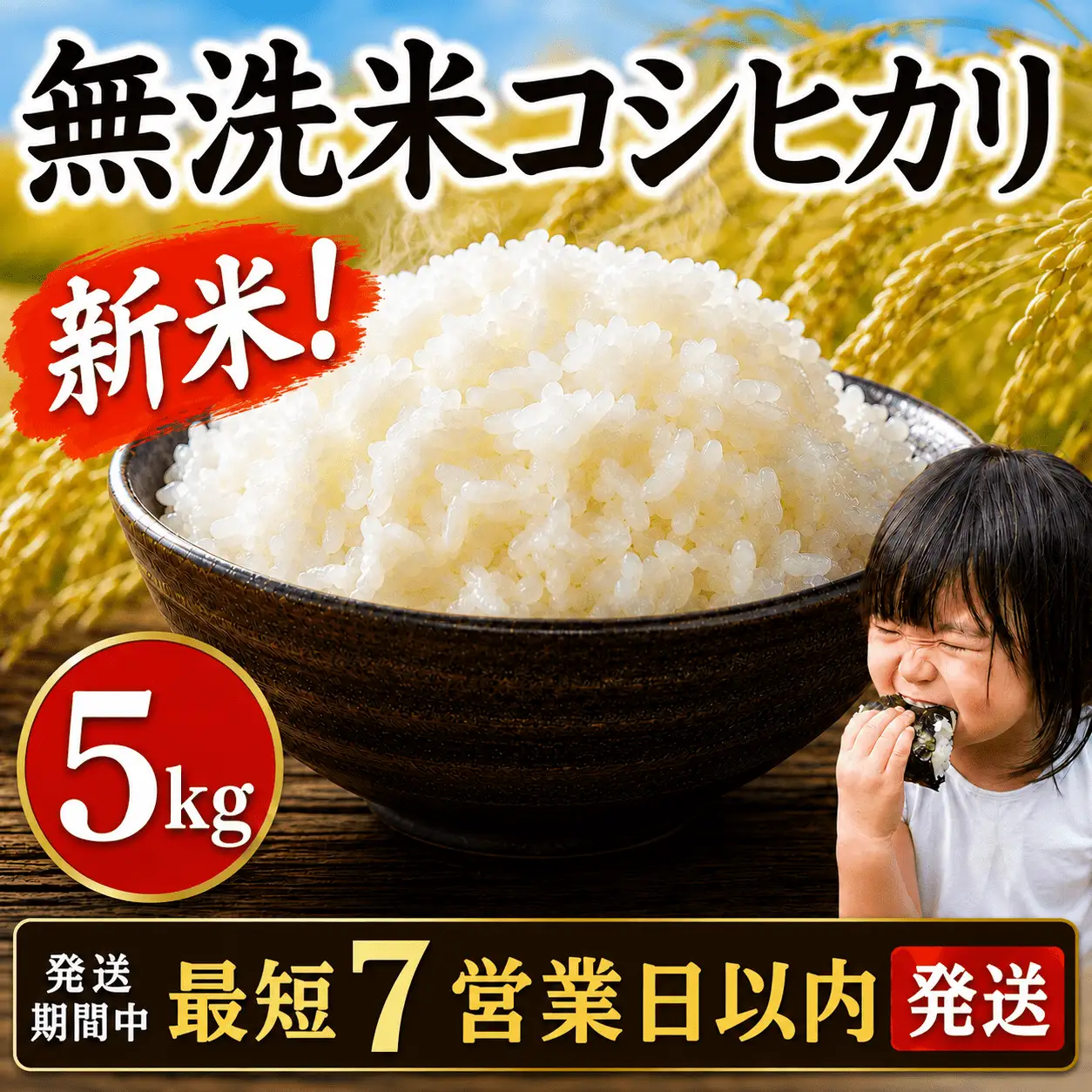 【数量限定】令和8年産 千葉県産無洗米コシヒカリ5㎏（5㎏×1）　新米