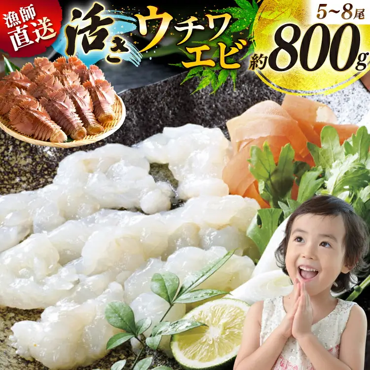 エビ 活き うちわえび 5～8尾 約800g