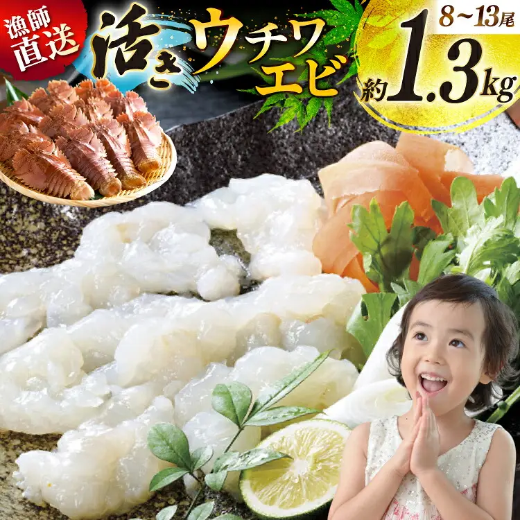 エビ 活き うちわえび 8～13尾 約1.3kg